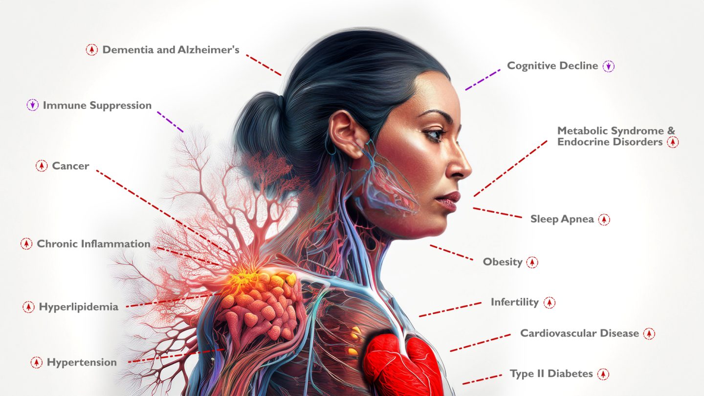 impact-of-chronic-insulin-resistance-illustration impact-of-chronic-insulin-resistance-illustration